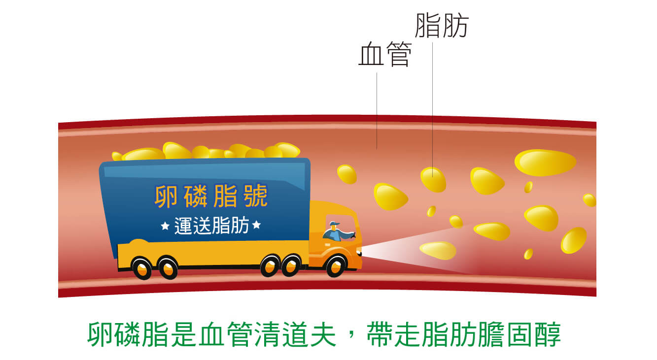 如何預防心血管疾病 5個方法讓你遠離傷 心 地 健康get