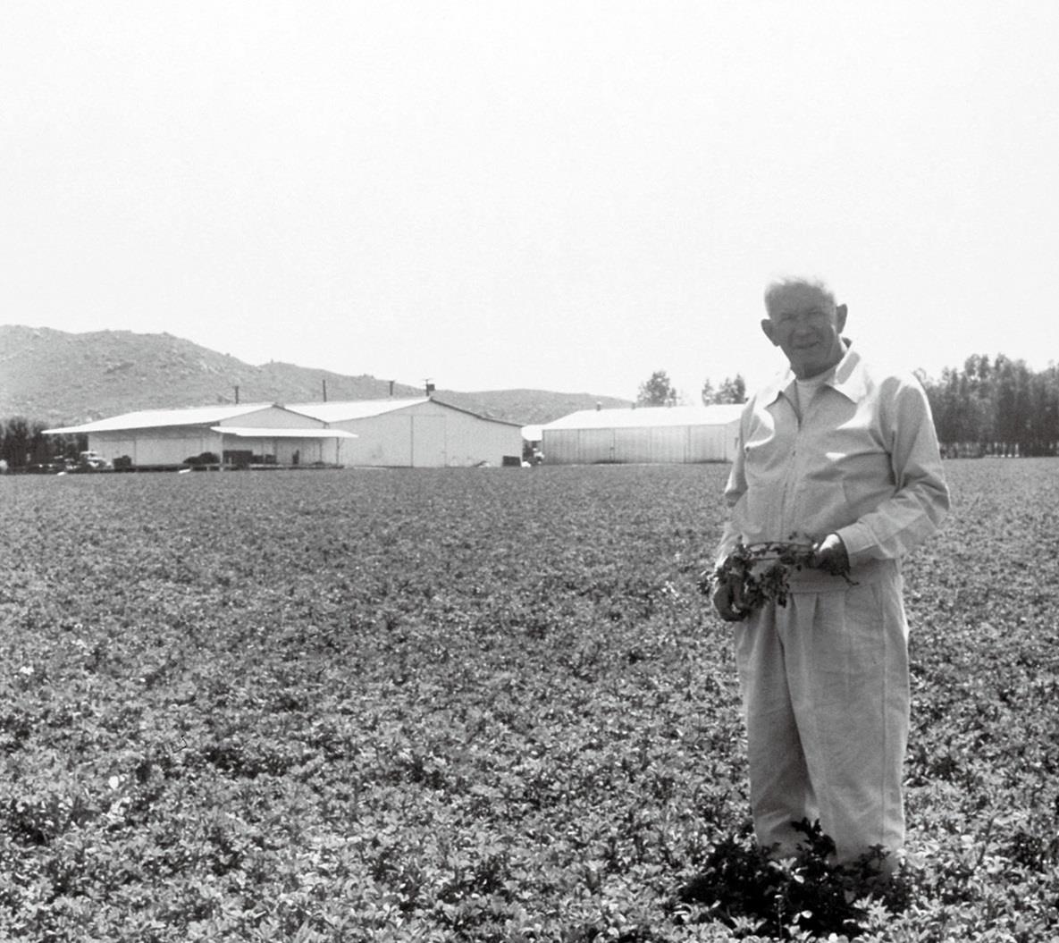1942年，從紐崔萊創辦人卡爾﹒仁伯先生在南加州經營的第一座紫花苜蓿農地開始，就採行不使用化學殺蟲劑及除草劑的自然農耕法
