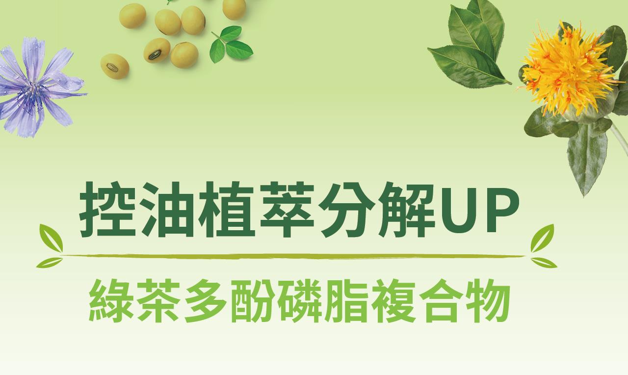  控油植萃分解UP 綠茶多酚磷脂複合物