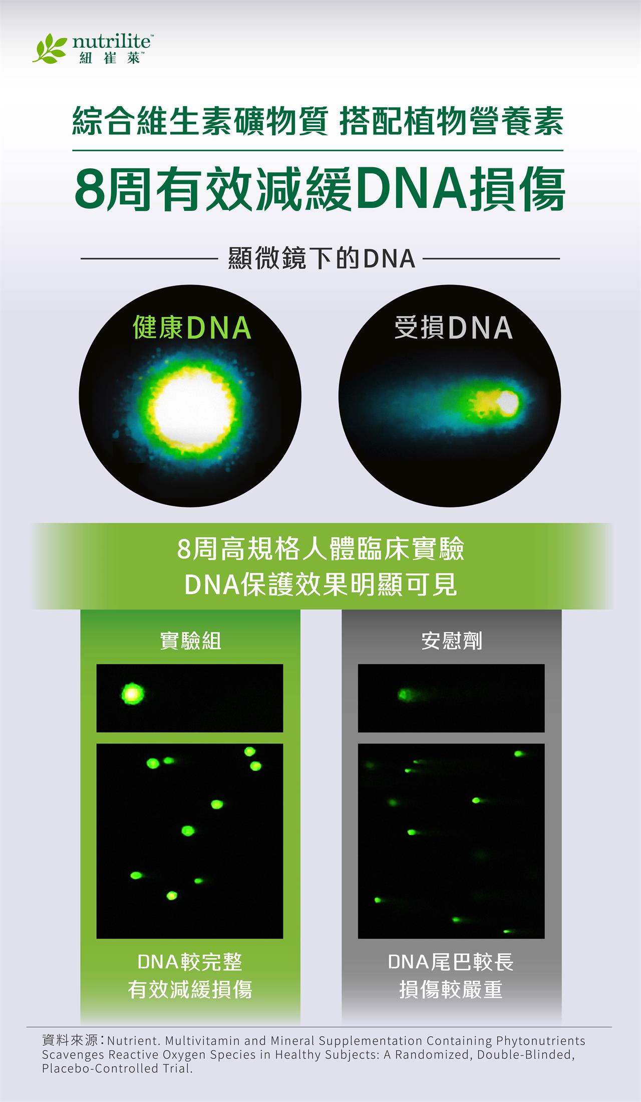 細胞抗氧化的關鍵