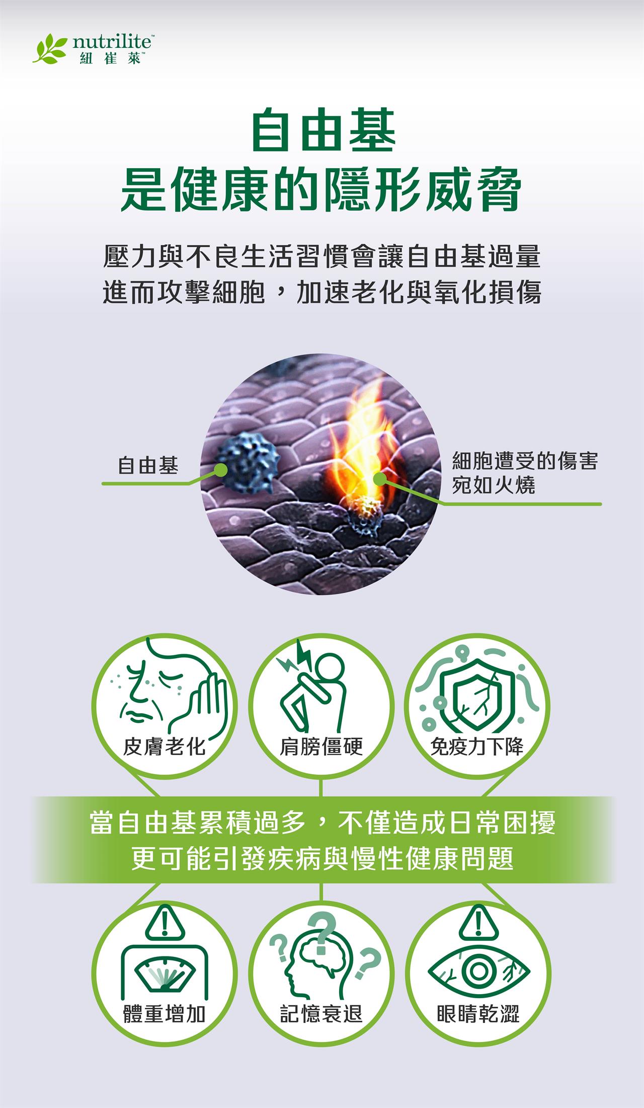 細胞抗氧化的關鍵