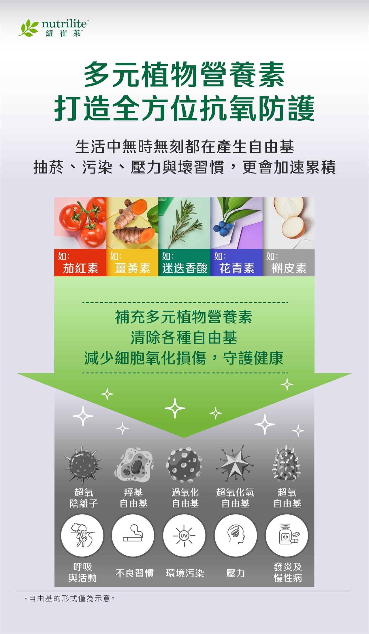 細胞抗氧化的關鍵