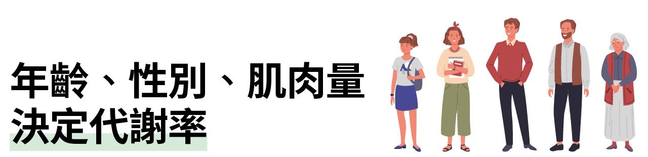 年齡、性別、肌肉量 決定代謝率