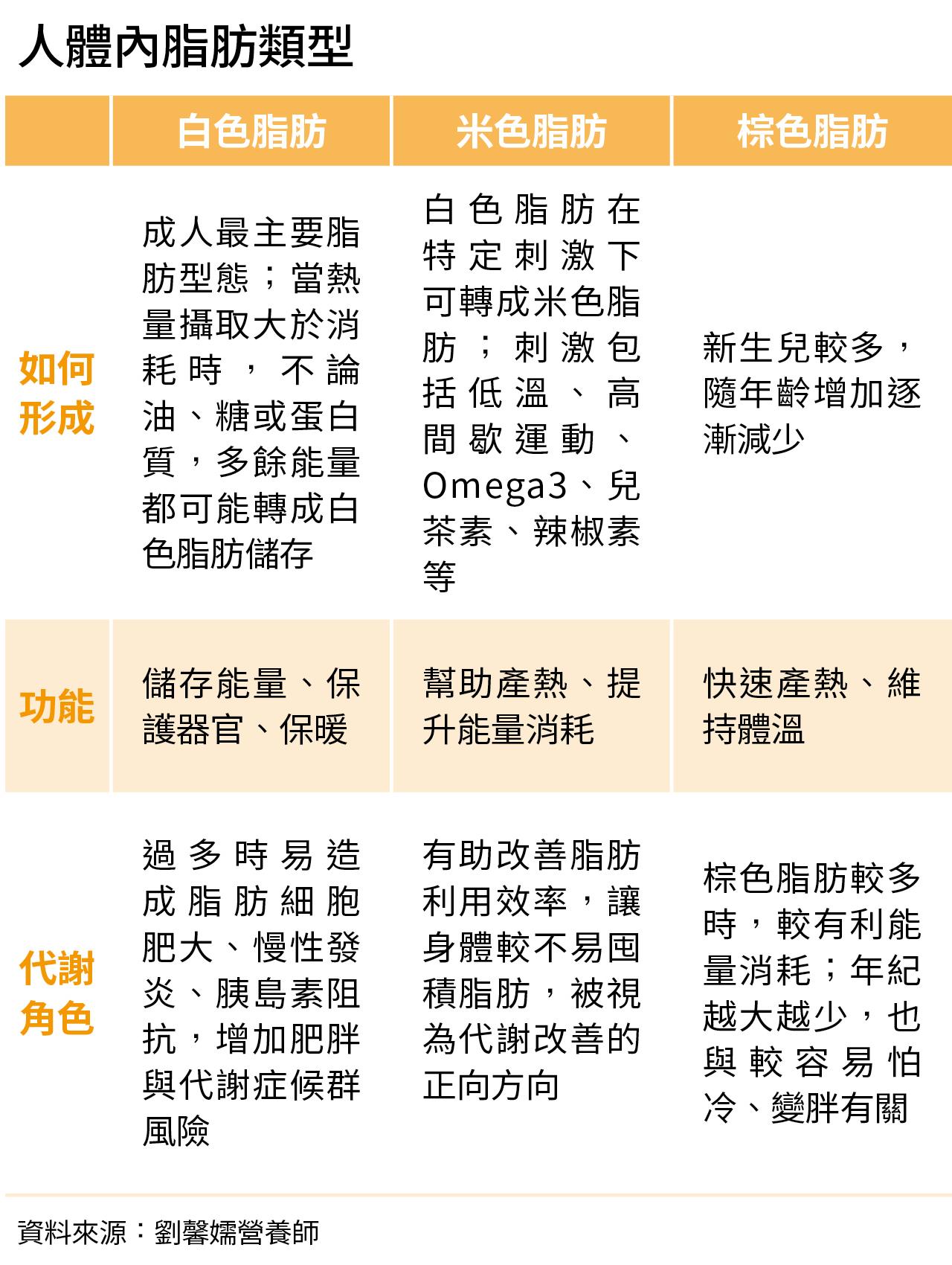 比較白色脂肪、米色脂肪與棕色脂肪的形成方式、功能及代謝角色。白色脂肪負責儲存能量，米色與棕色脂肪則與產熱及能量消耗有關，三者在人體代謝中各自扮演不同角色。
