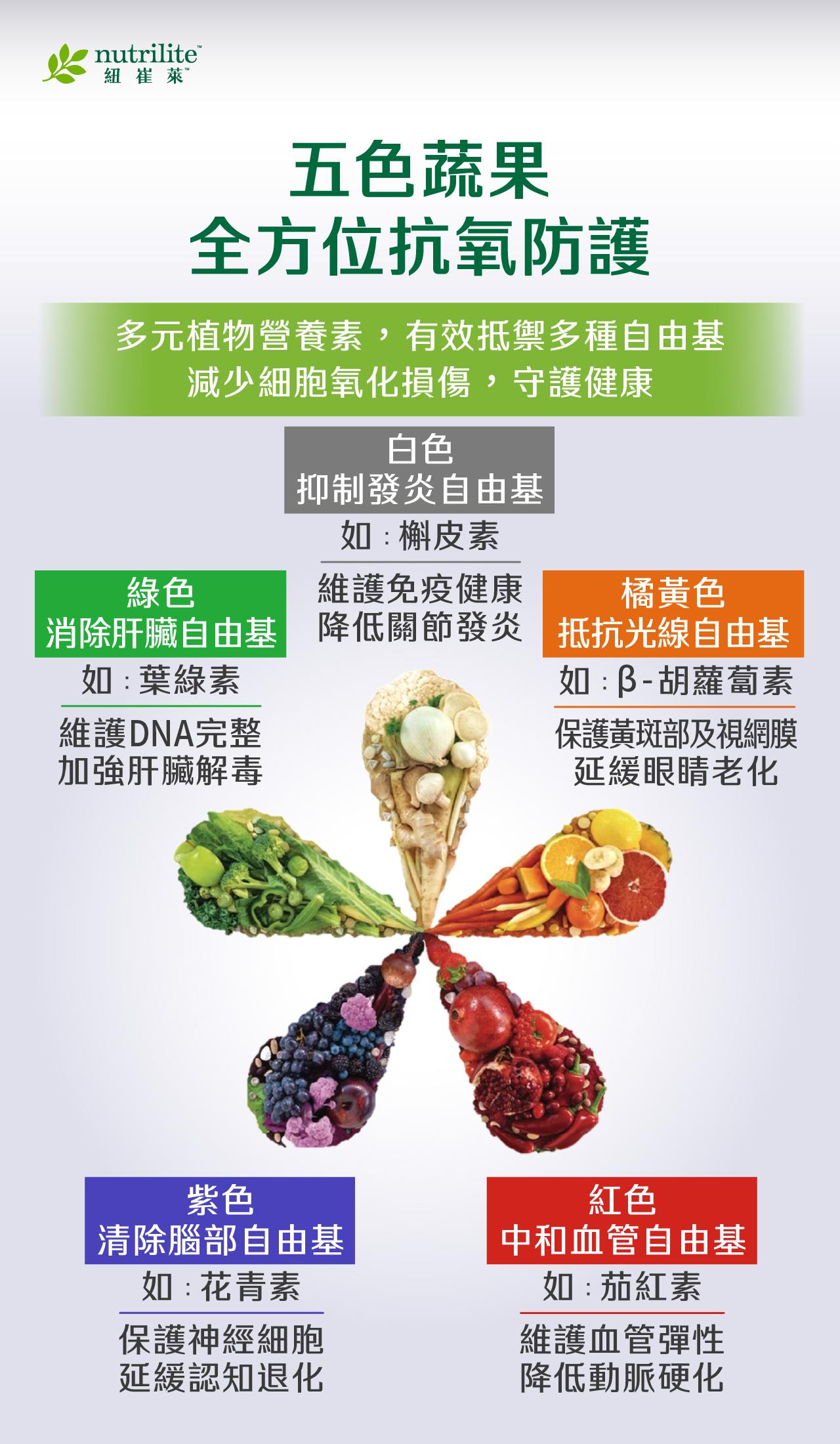 綠、白、橘黃、紅、紫色蔬果含有不同植物營養素，如葉綠素、蒜素、β-胡蘿蔔素、茄紅素與花青素，提供多元抗氧化保護。