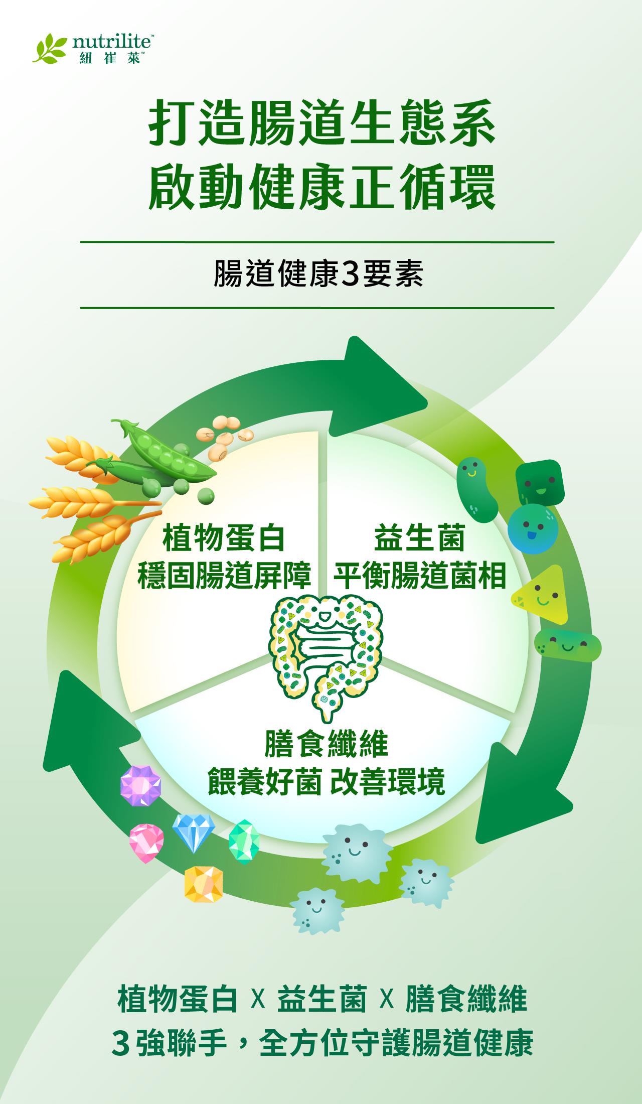 腸道健康3要素：植物蛋白穩固腸道屏障；益生菌幫助平衡腸道菌相；膳食纖維餵養好菌，改善腸道環境