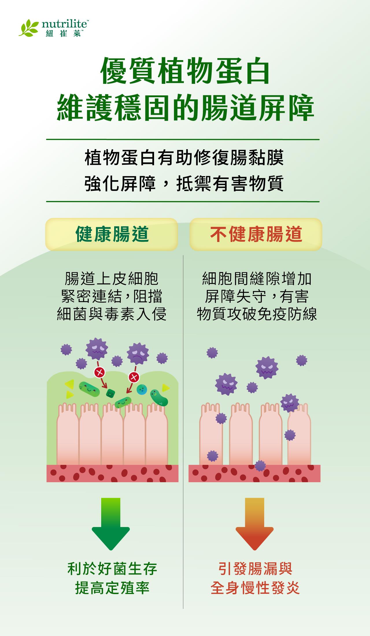 優質植物蛋白有助修復腸黏膜，強化屏障，抵禦有害物質