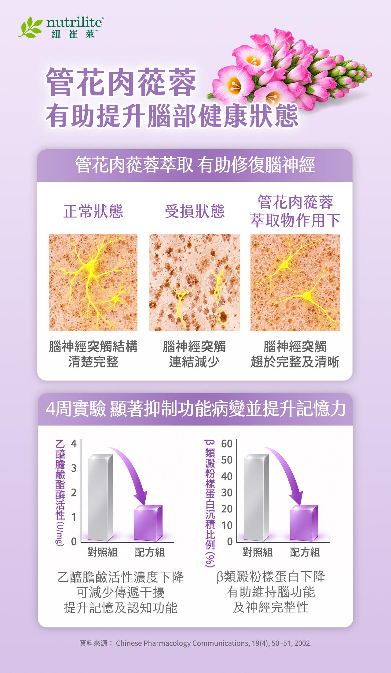 管花肉蓯蓉萃取物與腦部健康的相關研究。圖中比較正常狀態、受損狀態及管花肉蓯蓉萃取物作用下的腦神經突觸結構，呈現神經連結的差異。另以四週實驗數據呈現乙醯膽鹼酯酶活性及 β 類澱粉樣蛋白沉積比例的變化，探討其與記憶力及認知功能的關聯。